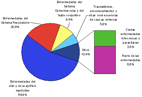 Principales enfermedades profesionales según la Clasificación Internacional de Enfermedades por Grandes Grupos. República Argentina. Año 2004.